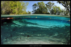 Crystal river_Florida by Mathieu Foulquié 